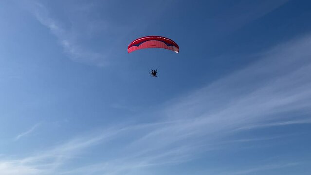 Sublime view in Porto San Giorgio at a red and blue paraglider soaring above the Adriatic Sea, camera tilting upwards from ground to sky, closely following the object until it moves out of the frame