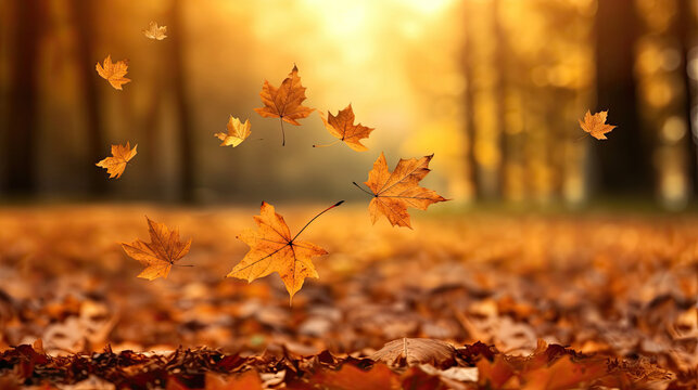 Flying fall leaves on autumn forest background, golden hour, copy space Generative AI