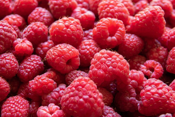 Background of fresh sweet red raspberries arranged close-up. Raspberry fruit background