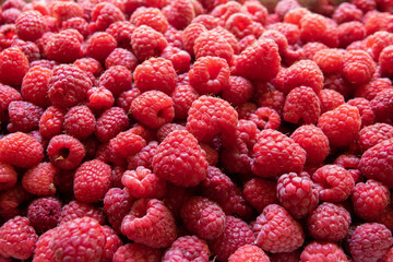 Background of fresh sweet red raspberries arranged close-up. Raspberry fruit background
