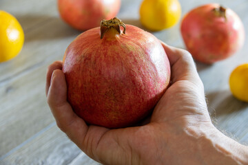 Fresh ripe pomegranate in hand close-up against another pomegranates and oranges. Blurred background
