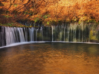 Autumn leaves and waterfall reflection