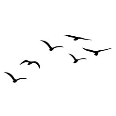 Silhouette of flying birds