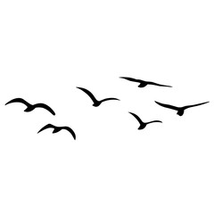 Silhouette of flying birds