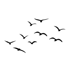 Silhouette of flying birds