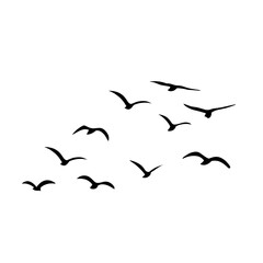 Silhouette of flying birds