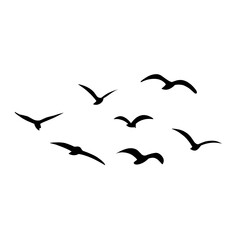 Silhouette of flying birds