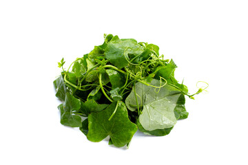 Lvy Gourd leaves on white background.