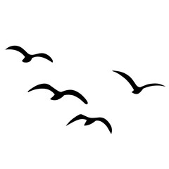 Silhouette of flying birds