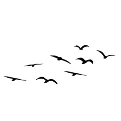 Silhouette of flying birds