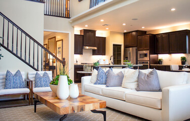 Livingroom and Kitchen