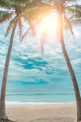 Tropical summer beach sand and beautiful sky with coconut palm tree background.