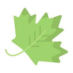 Leaf Flat Icon