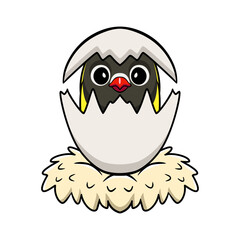 Cute yellow collared love bird cartoon inside from egg