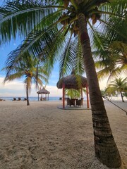 Palm Trees and Small Beach Huts on San Juan Beach - Siquijor, Philippines