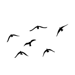 Flying birds silhouettes vector