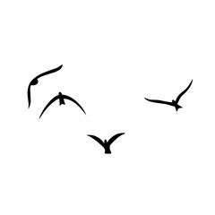 Flying birds silhouettes vector
