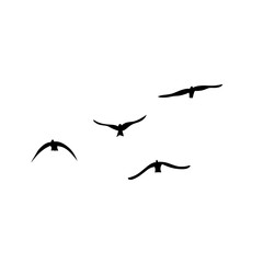 Flying birds silhouettes vector