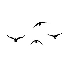 Flying birds silhouettes vector