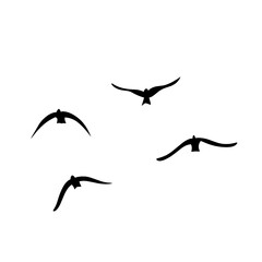 Flying birds silhouettes vector