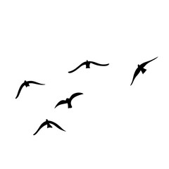 Flying birds silhouettes vector
