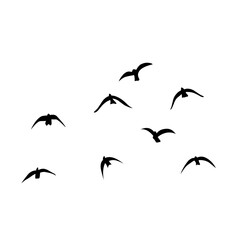 Flying birds silhouettes vector