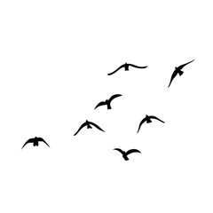 Flying birds silhouettes vector
