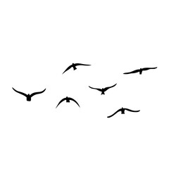 Flying birds silhouettes vector