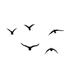 Flying birds silhouettes vector