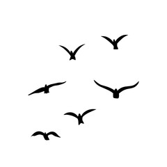 Flying birds silhouettes vector