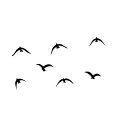 Flying birds silhouettes vector