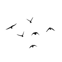 Flying birds silhouettes vector