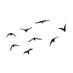 Flying birds silhouettes vector
