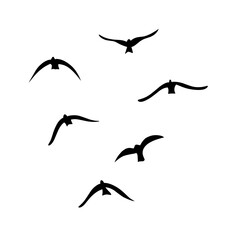 Flying birds silhouettes vector