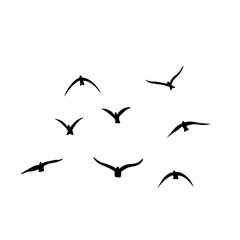 Flying birds silhouettes vector