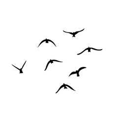 Flying birds silhouettes vector