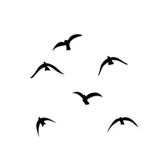 Flying birds silhouettes vector