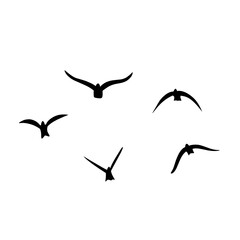 Flying birds silhouettes vector