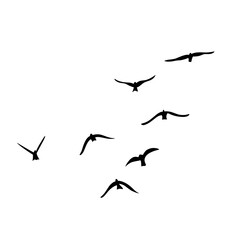Flying birds silhouettes vector
