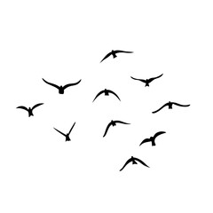 Flying birds silhouettes vector
