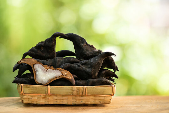 Ripe water caltrops or trapa bispinosa pods on nature background.