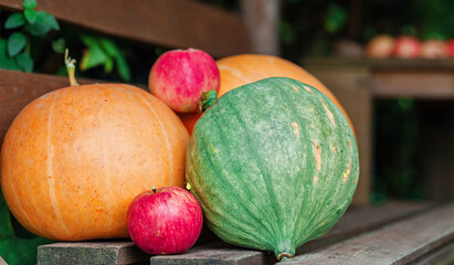 Red apples and pumpkins. Fresh vegetables and fruits in summer day outdoors. Vegetables and fruits harvest. Vegetarian food. Healthy eating.