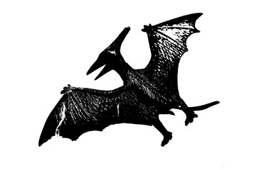 black dinosaur silhouette isolated on white background, model of pteranodon toys © sutichak