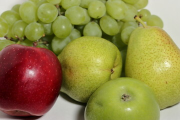 Tropical evergreen collection of fruits