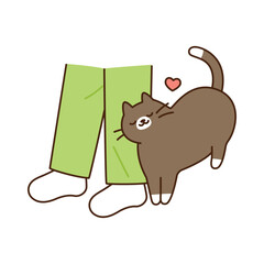 Cute cat. A black and chubby cat is showing off its charms by rubbing a person's leg.