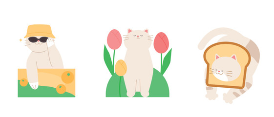 Cute cat. Paper boxes, flowers, bread, and cats.