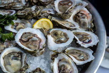 A tray of oysters on the half shell served at a buffet.