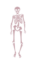 歪んだ骨格のイラスト