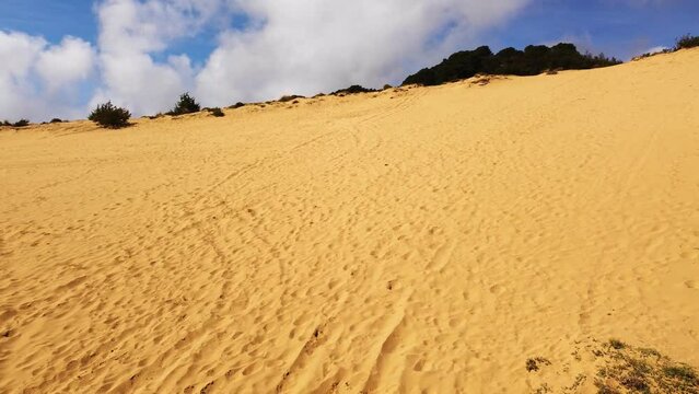 Desert dune landscape, golden sand with footsteps, sunny white clouds background