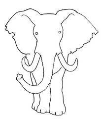 elephant cartoon illustration